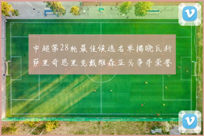 中超第28轮最佳候选名单揭晓瓦科萨里奇恩里克戴维森亚戈争夺荣誉