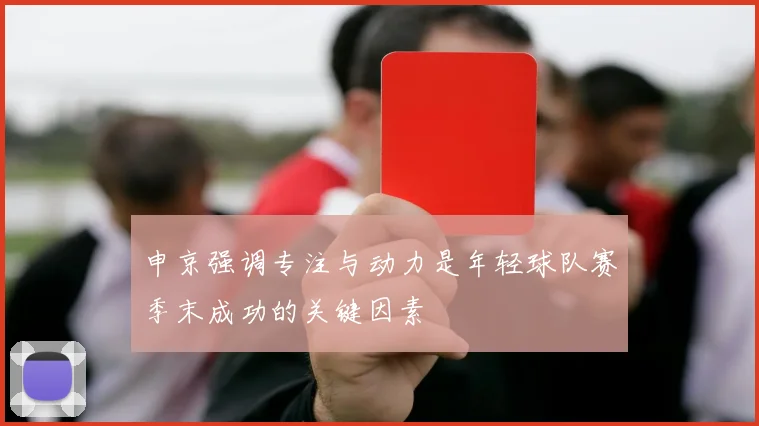 申京强调专注与动力是年轻球队赛季末成功的关键因素
