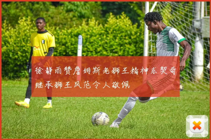 徐静雨赞詹姆斯老狮王精神东契奇继承狮王风范令人敬佩