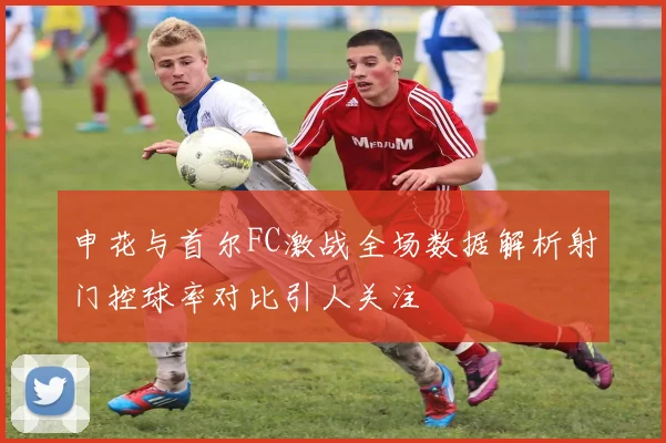 申花与首尔FC激战全场数据解析射门控球率对比引人关注