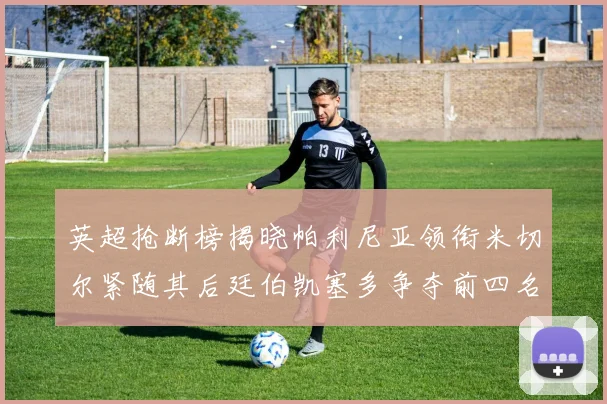 英超抢断榜揭晓帕利尼亚领衔米切尔紧随其后廷伯凯塞多争夺前四名