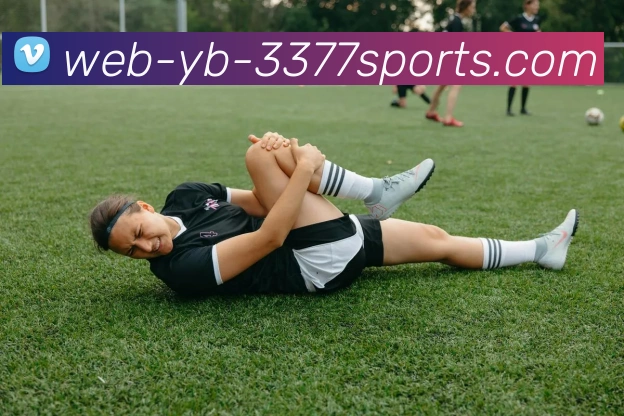 3377体育APP 高清赛事图